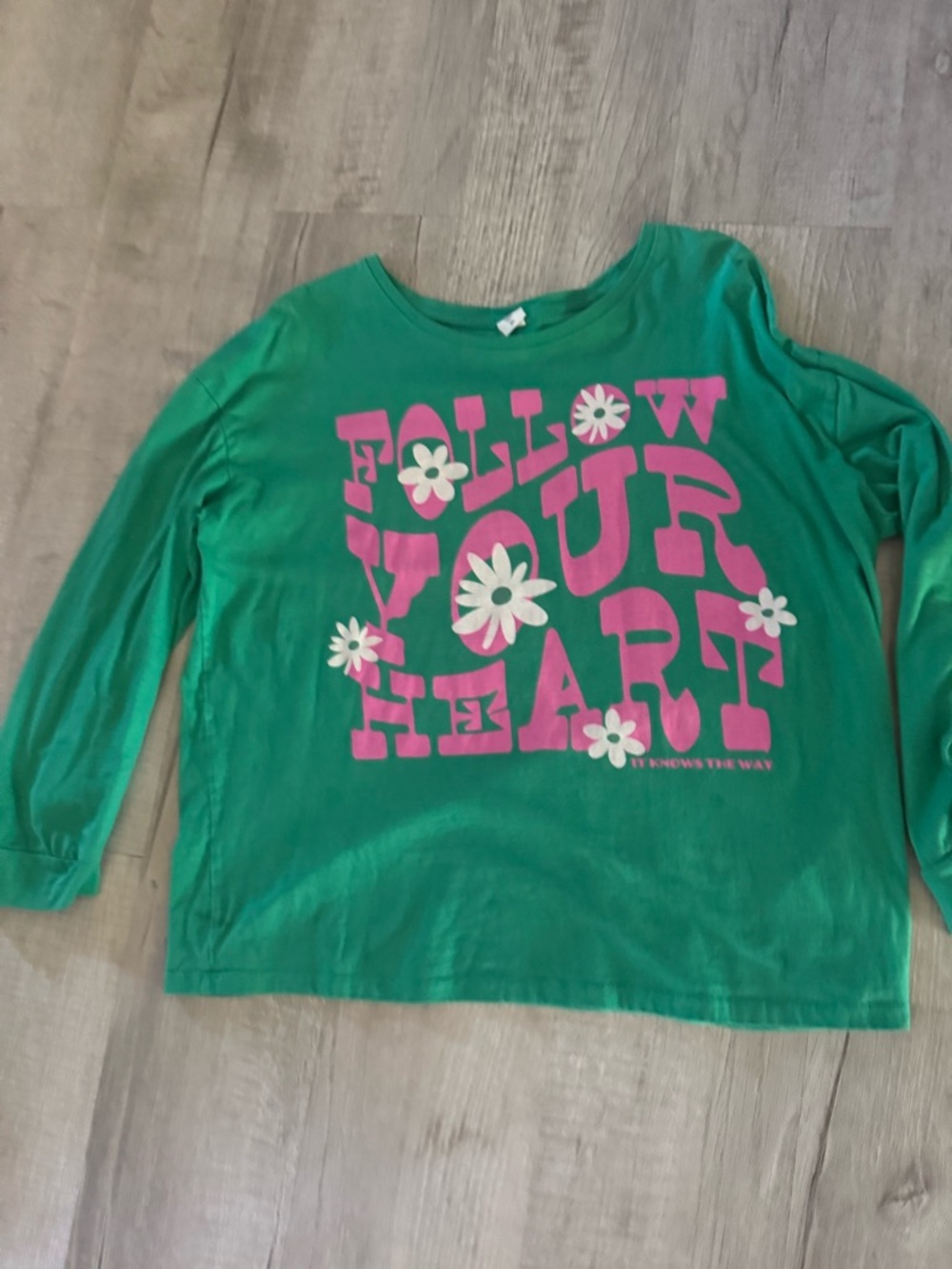 Eclectic Pink brand Green Long Sleeve Tee Pink Daisy Graphic XL women’s